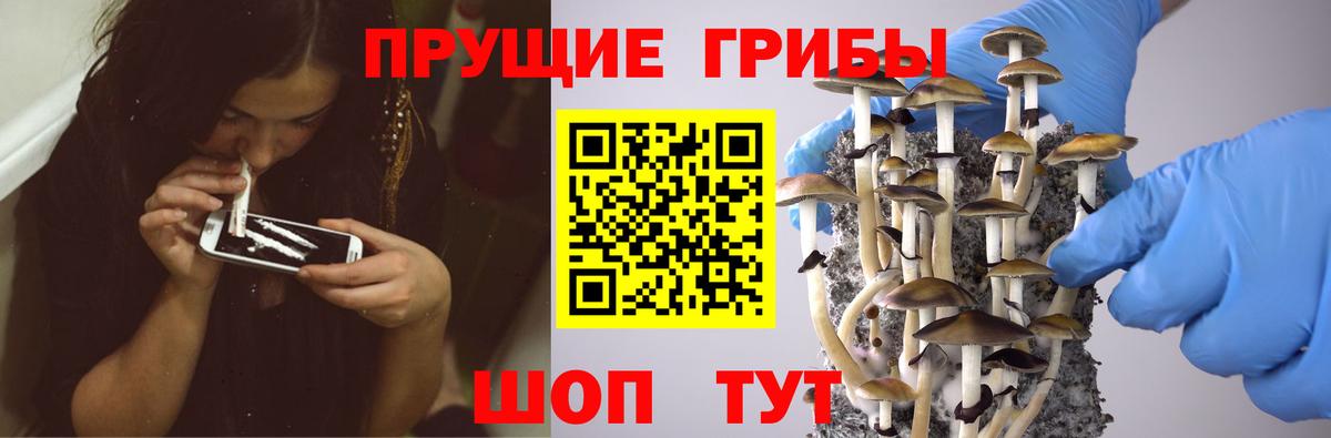 Галлюциногенные грибы мухоморы  Вход с VPN  Красноярск 